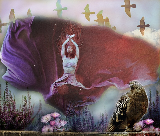 力与稳定的 力与稳定的