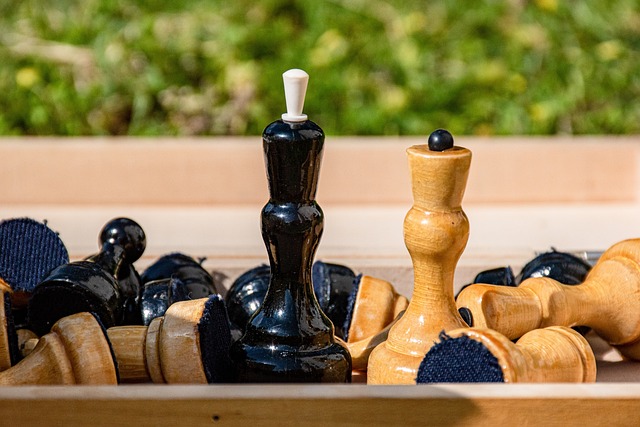 青训体系 青训体系