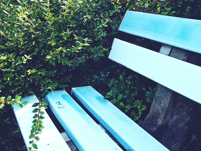 更能为队友 更能为队友